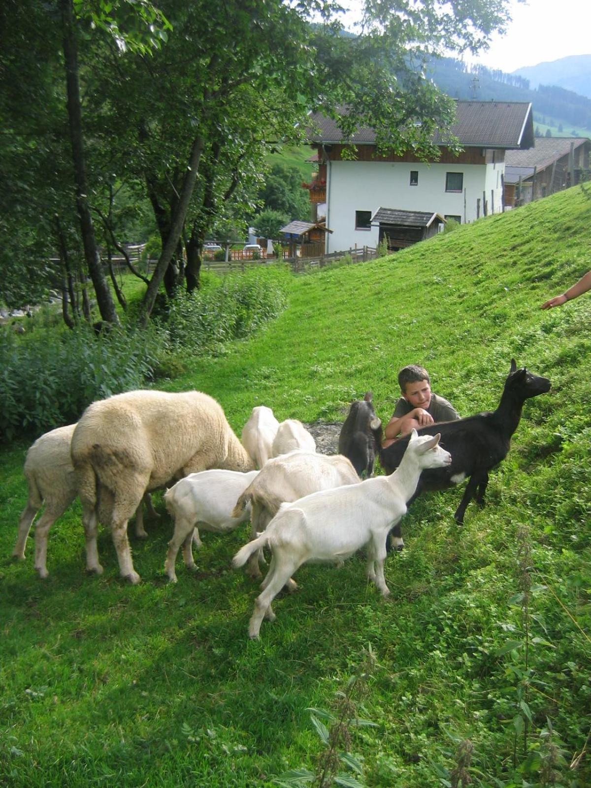 Bauernhof Klausbauer Daire Grossarl Dış mekan fotoğraf